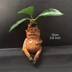Mandrake Resin Statue Outdoor Decor Micro Landscape Ornament Gift