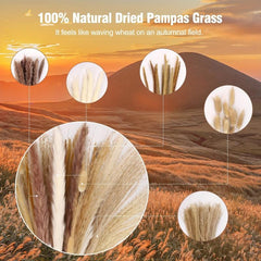 Pampas Grass Decor Brown Bunny Tails Reed Grass Boho Wedding