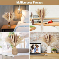Pampas Grass Decor Brown Bunny Tails Reed Grass Boho Wedding