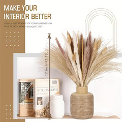 Pampas Grass Decor Brown Bunny Tails Reed Grass Boho Wedding