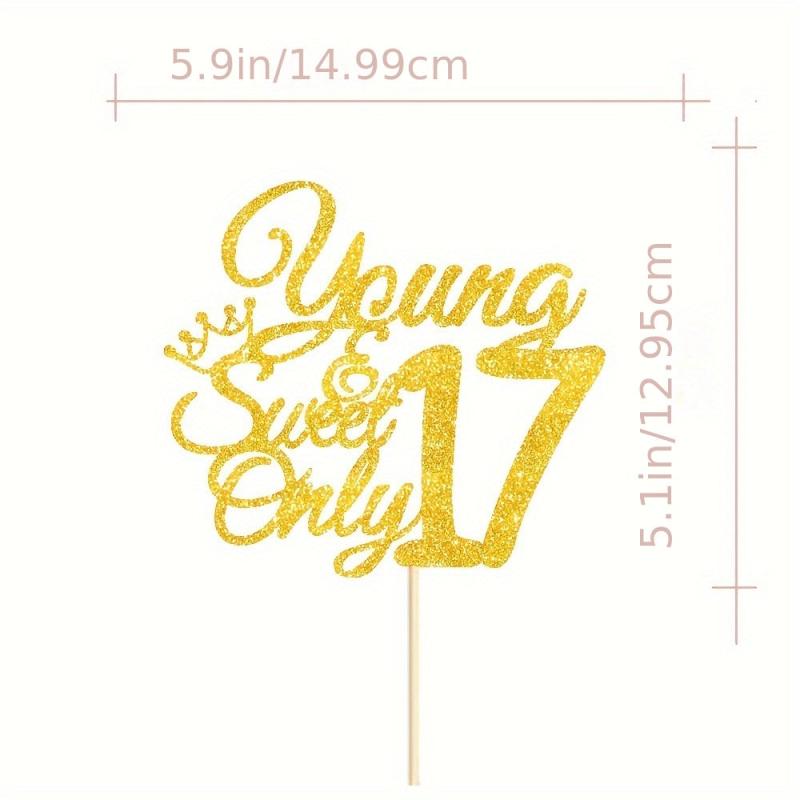 Large 17th Birthday Cake Insert for Cake Decoration