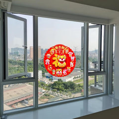 Fu Dragon Door Sticker 3D Cartoon Zodiac Dragon Year Spring Painting