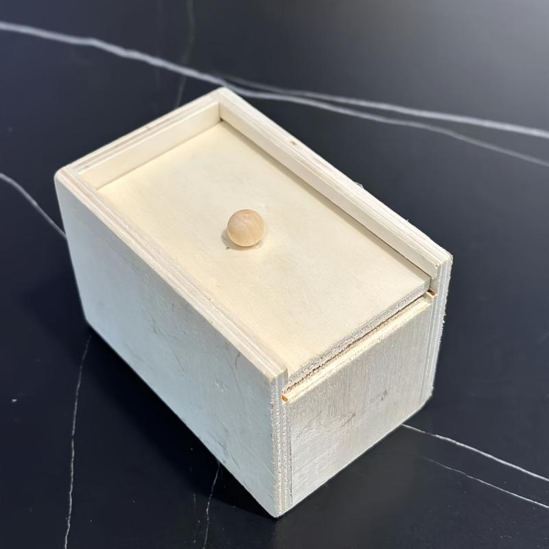 Wooden Bug Box Prank Toy - Perfect for Christmas