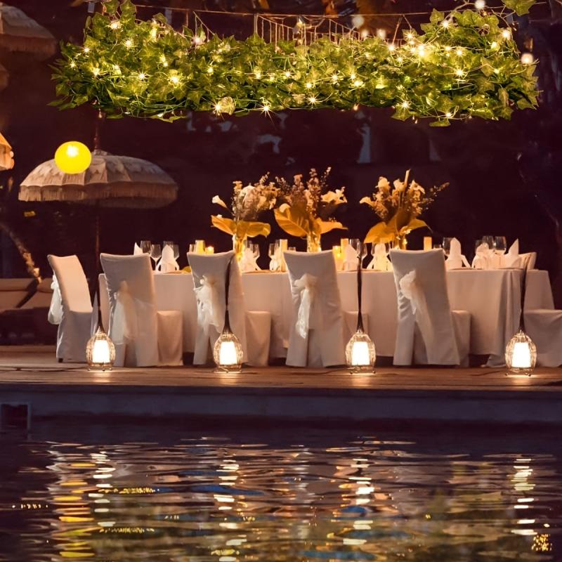 LED Leaf Light String Box Power Wedding Christmas Holiday Decoration 10m