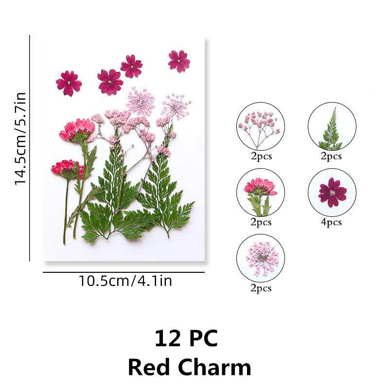 Pressed Flowers & Herbs for DIY Crafts Jewelry Candles