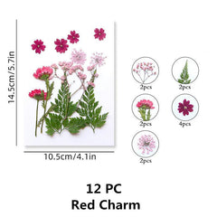 Pressed Flowers & Herbs for DIY Crafts Jewelry Candles