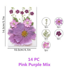 Pressed Flowers & Herbs for DIY Crafts Jewelry Candles