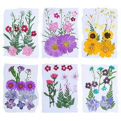 Pressed Flowers & Herbs for DIY Crafts Jewelry Candles