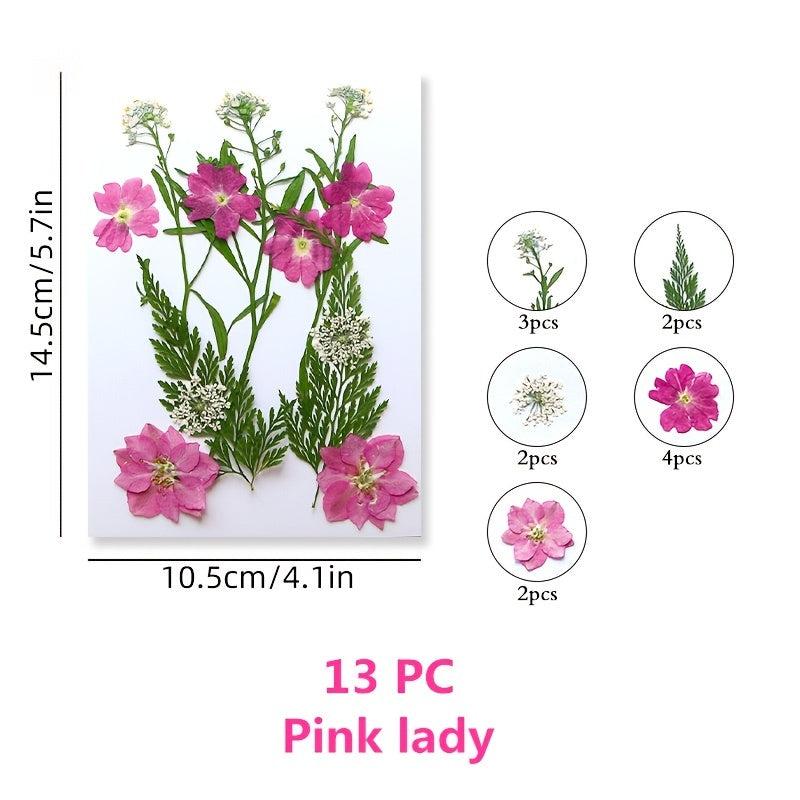 Pressed Flowers & Herbs for DIY Crafts Jewelry Candles