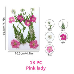 Pressed Flowers & Herbs for DIY Crafts Jewelry Candles