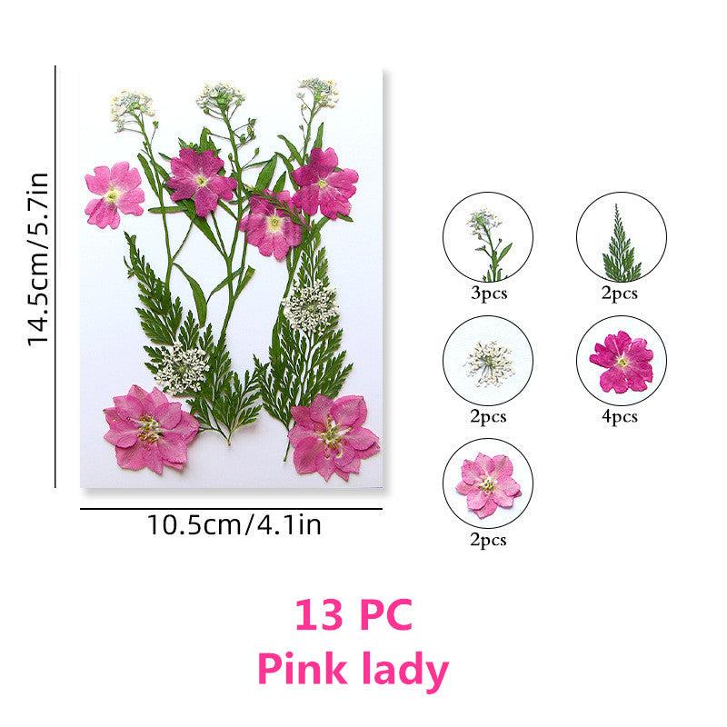 Pressed Flowers & Herbs for DIY Crafts Jewelry Candles