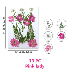 Pressed Flowers & Herbs for DIY Crafts Jewelry Candles