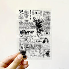 Cartoon Transparent Seal for Scrapbooking Background DIY