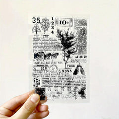 Cartoon Transparent Seal for Scrapbooking Background DIY