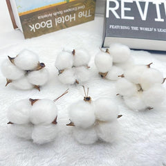 10pcs Dry Kapok Heads Flower Garland DIY Accessories