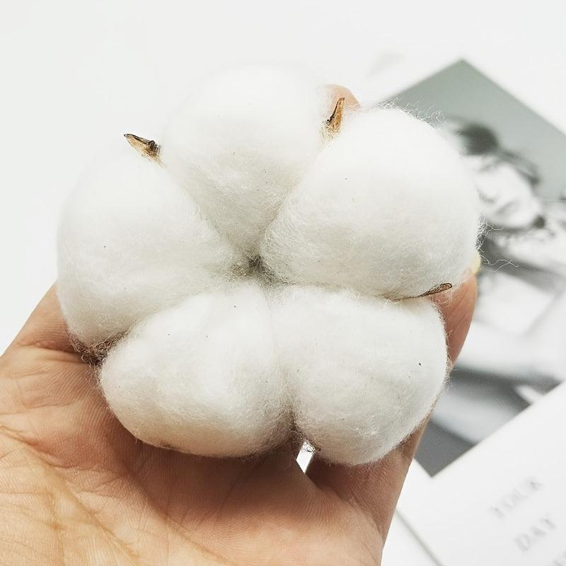 10pcs Dry Kapok Heads Flower Garland DIY Accessories
