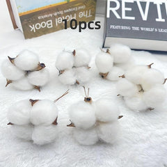 10pcs Dry Kapok Heads Flower Garland DIY Accessories