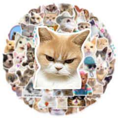 50pcs Cute Cat Stickers for Phones, Computers, Water Bottles