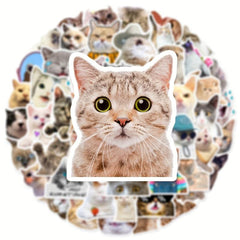 50pcs Cute Cat Stickers for Phones, Computers, Water Bottles