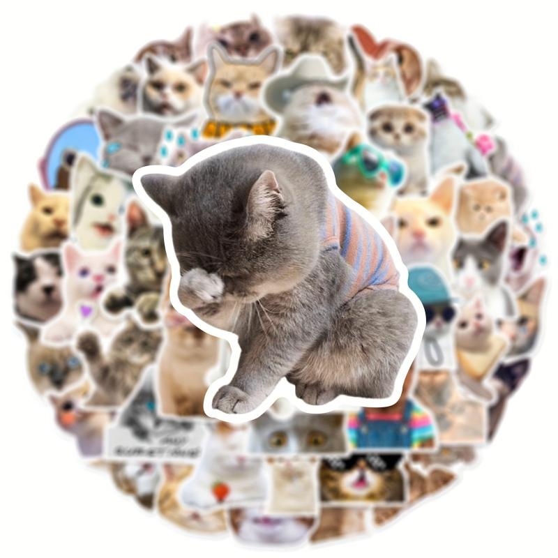 50pcs Cute Cat Stickers for Phones, Computers, Water Bottles