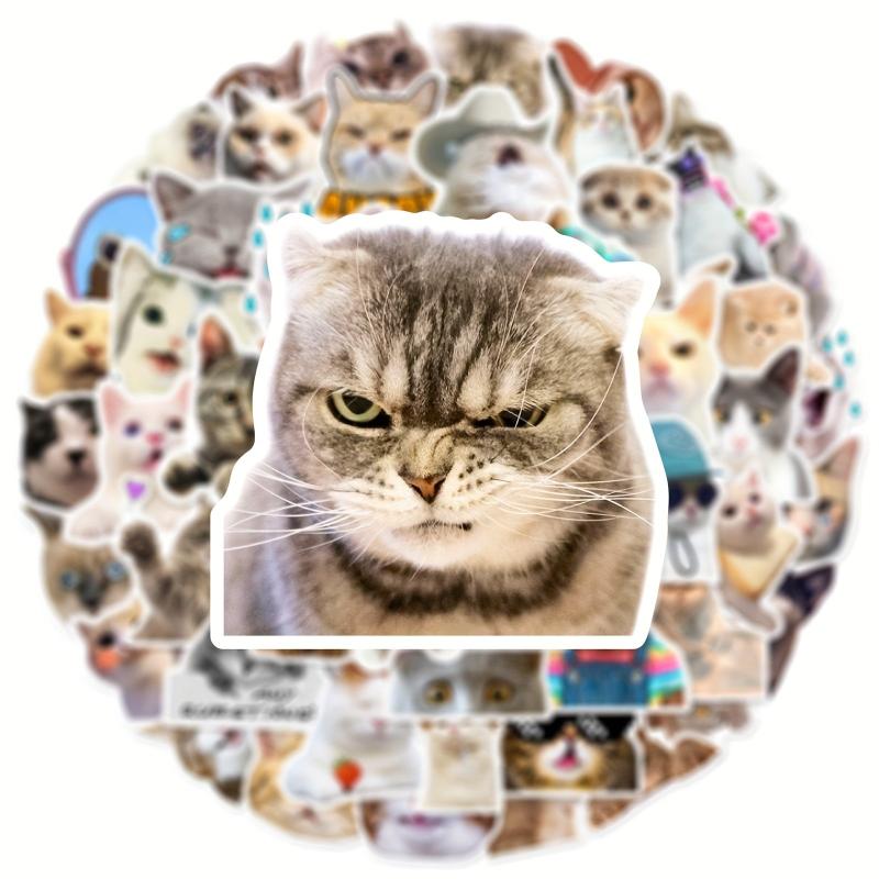 50pcs Cute Cat Stickers for Phones, Computers, Water Bottles