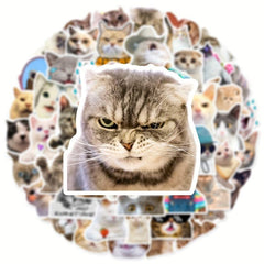 50pcs Cute Cat Stickers for Phones, Computers, Water Bottles