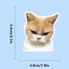 50pcs Cute Cat Stickers for Phones, Computers, Water Bottles