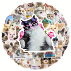 50pcs Cute Cat Stickers for Phones, Computers, Water Bottles