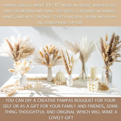 Dried Pampas Grass DIY Home Decor Supply Wedding Floral Arrangements