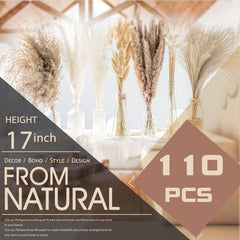 Dried Pampas Grass DIY Home Decor Supply Wedding Floral Arrangements