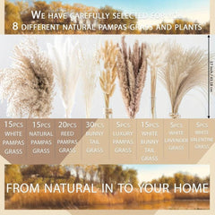 Dried Pampas Grass DIY Home Decor Supply Wedding Floral Arrangements