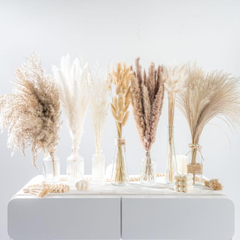 Dried Pampas Grass DIY Home Decor Supply Wedding Floral Arrangements
