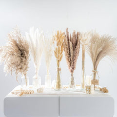 Dried Pampas Grass DIY Home Decor Supply Wedding Floral Arrangements