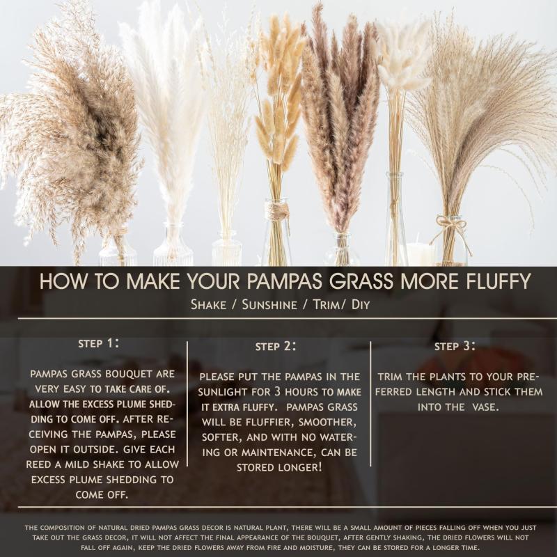 Dried Pampas Grass DIY Home Decor Supply Wedding Floral Arrangements