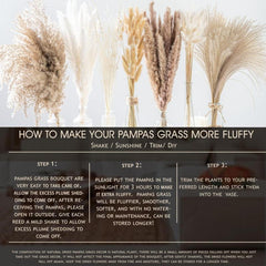 Dried Pampas Grass DIY Home Decor Supply Wedding Floral Arrangements