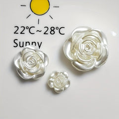 10 Pcs Flat Back Cabochons for Phone Case & Jewelry Making