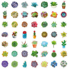 50 Succulent Plants Stickers Waterproof Vinyl Decals Water Bottle Laptop Hydr