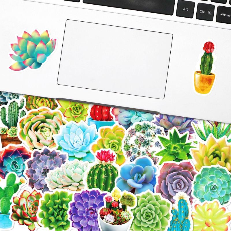 50 Succulent Plants Stickers Waterproof Vinyl Decals Water Bottle Laptop Hydr