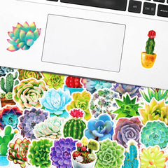 50 Succulent Plants Stickers Waterproof Vinyl Decals Water Bottle Laptop Hydr
