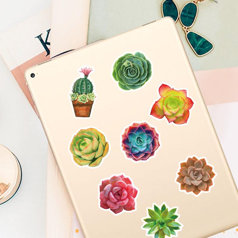 50 Succulent Plants Stickers Waterproof Vinyl Decals Water Bottle Laptop Hydr