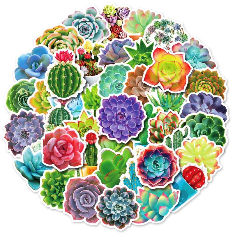 50 Succulent Plants Stickers Waterproof Vinyl Decals Water Bottle Laptop Hydr