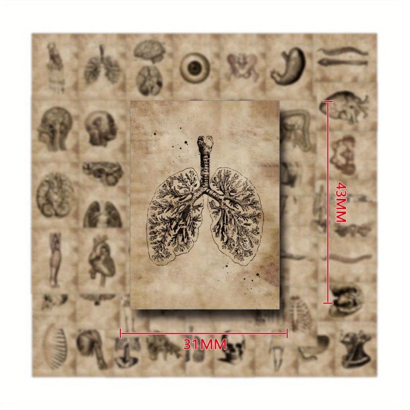 56pcs Human Organ Stickers Retro Aesthetics Vinyl Waterproof Stickers
