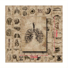 56pcs Human Organ Stickers Retro Aesthetics Vinyl Waterproof Stickers
