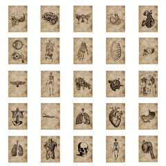 56pcs Human Organ Stickers Retro Aesthetics Vinyl Waterproof Stickers