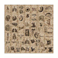 56pcs Human Organ Stickers Retro Aesthetics Vinyl Waterproof Stickers