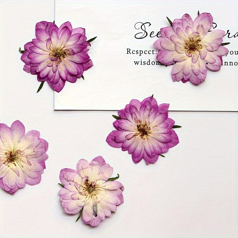 12pcs Pink Roses Dried Flowers Resin Bulk DIY Craft Christmas Decoration