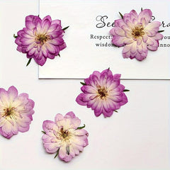 12pcs Pink Roses Dried Flowers Resin Bulk DIY Craft Christmas Decoration
