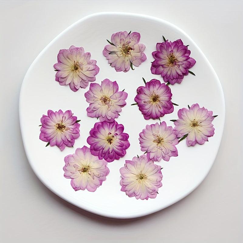 12pcs Pink Roses Dried Flowers Resin Bulk DIY Craft Christmas Decoration