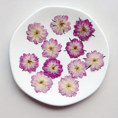 12pcs Pink Roses Dried Flowers Resin Bulk DIY Craft Christmas Decoration