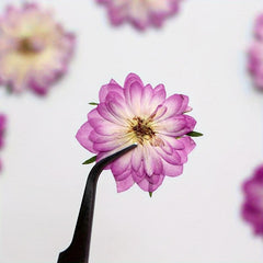 12pcs Pink Roses Dried Flowers Resin Bulk DIY Craft Christmas Decoration